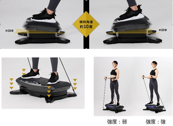 乗るだけライザップ！ 理想ボディを叶えるための３Dバランスブレード 