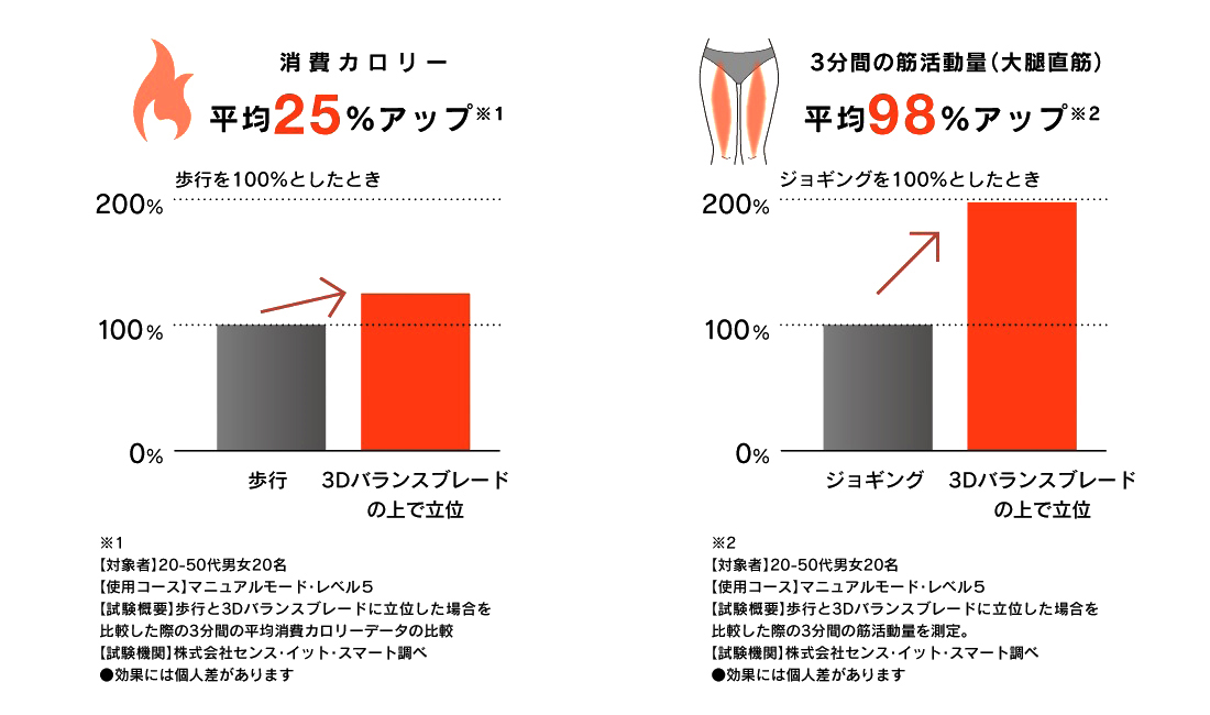 乗るだけライザップ！ 理想ボディを叶えるための３Dバランスブレード 